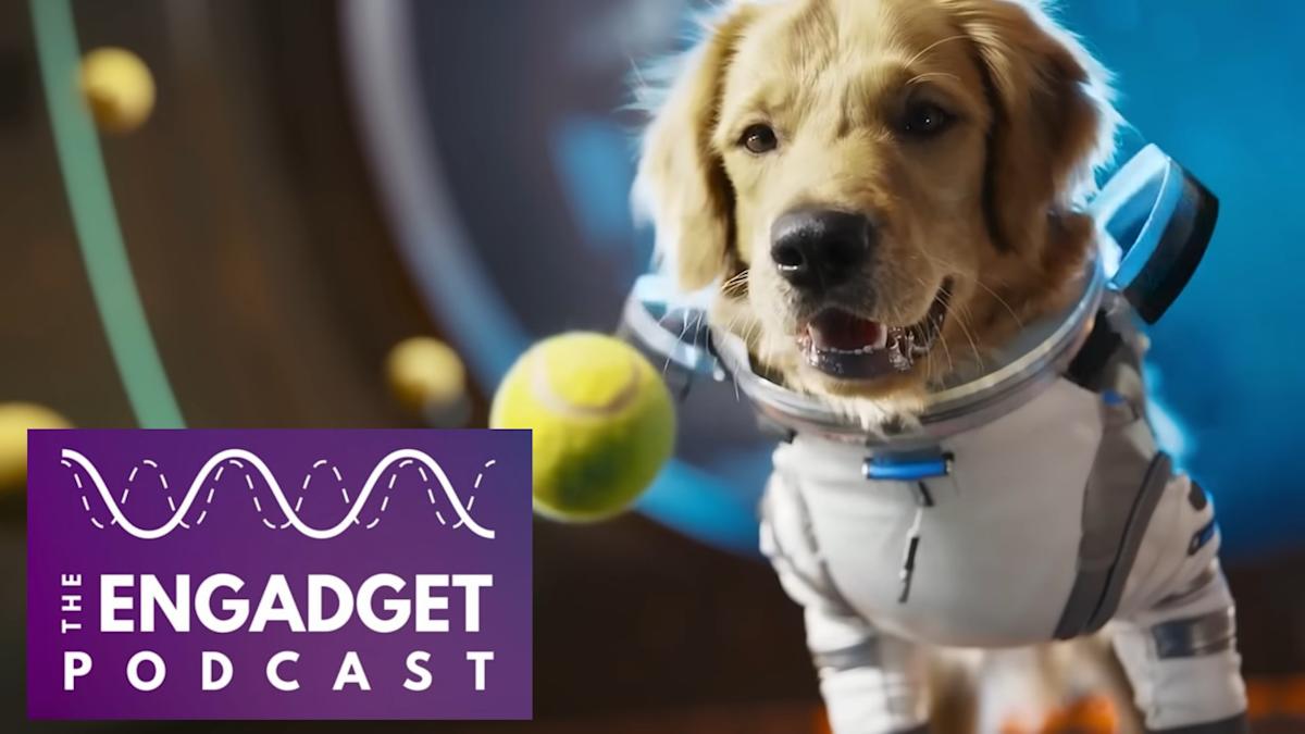 Navigating the Challenges of an AI-Driven Video World